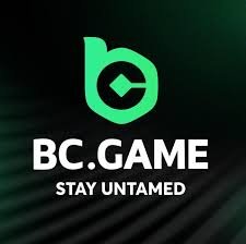 Understanding BC.Game JP Payments A Comprehensive Guide -219724342